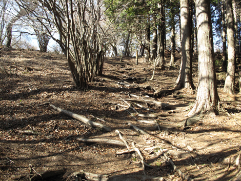 20180116hike (152)